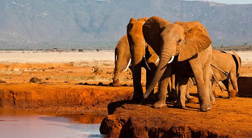 Tsavo West National Park, Taita-Taveta County, Kenya